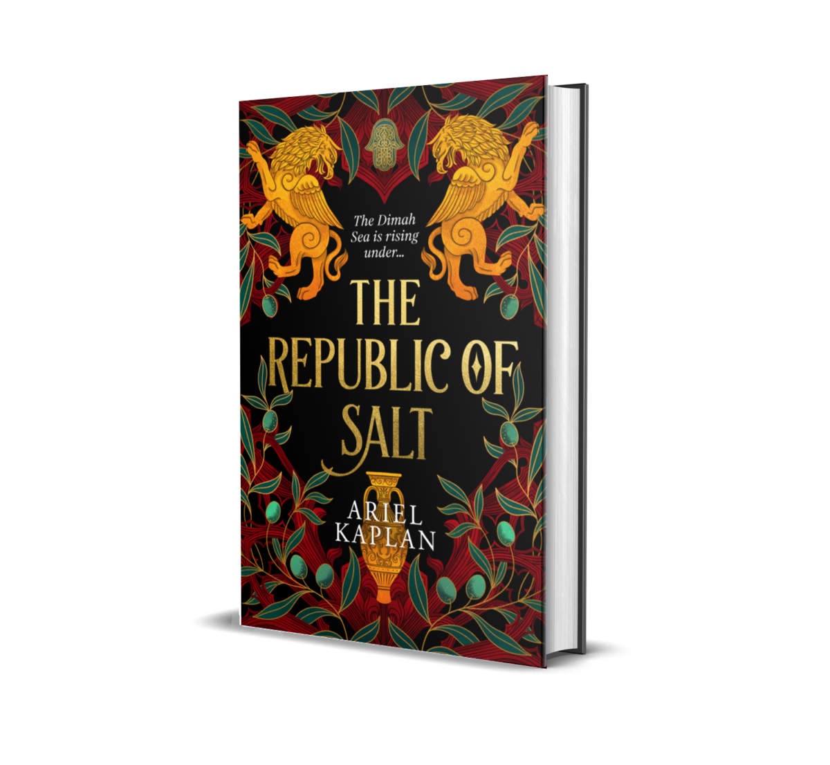 The republic of salt book cover